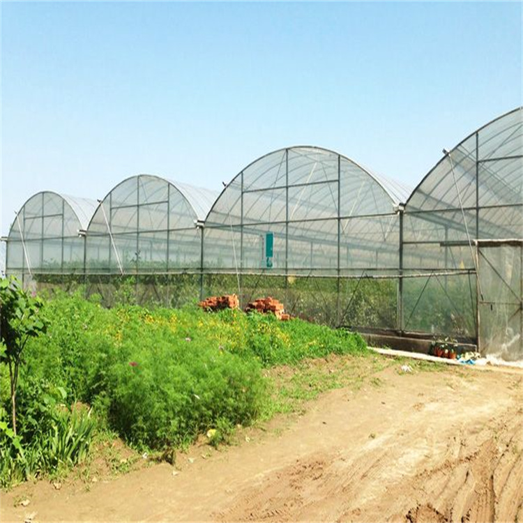 江苏草莓种植薄膜温室安装