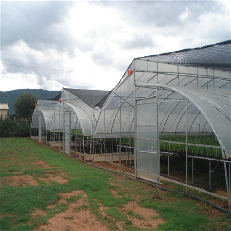 贵州养殖薄膜温室施工
