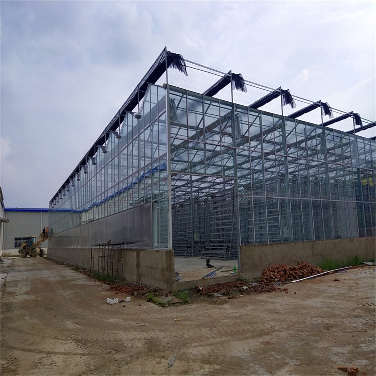 贵州养殖玻璃温室工程