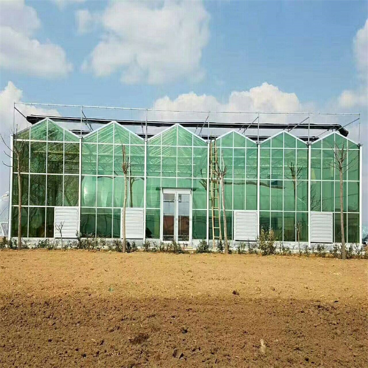 智能玻璃温室建造商