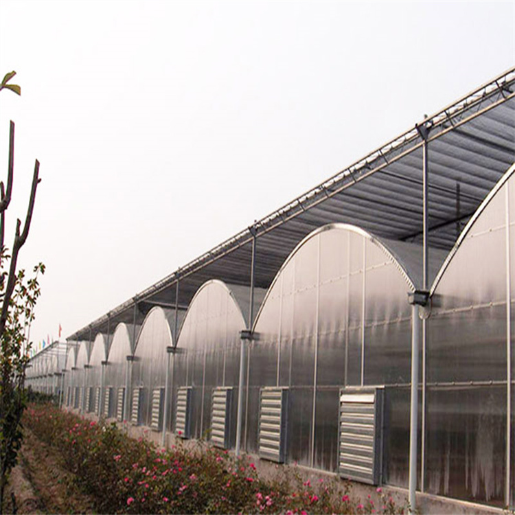 江苏草莓薄膜温室设计