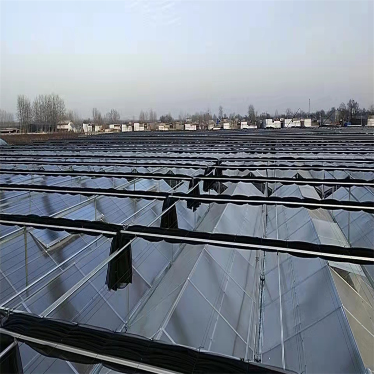 云南水产养殖阳光板温室公司