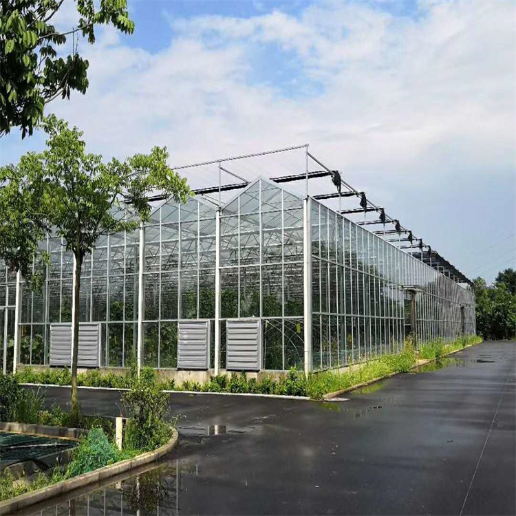 江苏花卉玻璃温室预算,养虾玻璃温室哪里找