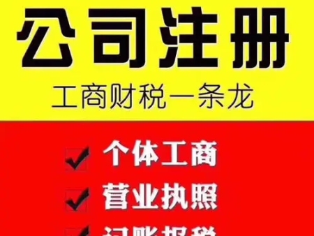 海口代办报税记账企业|记账报税公司哪家好