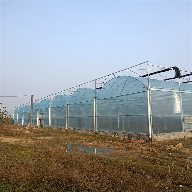 云南瓜果种植薄膜温室大棚建造