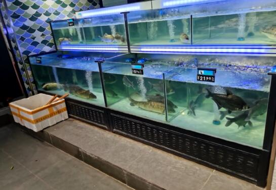天津海鲜鱼缸加工