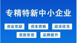 龙岩研发费用分段补助多少钱