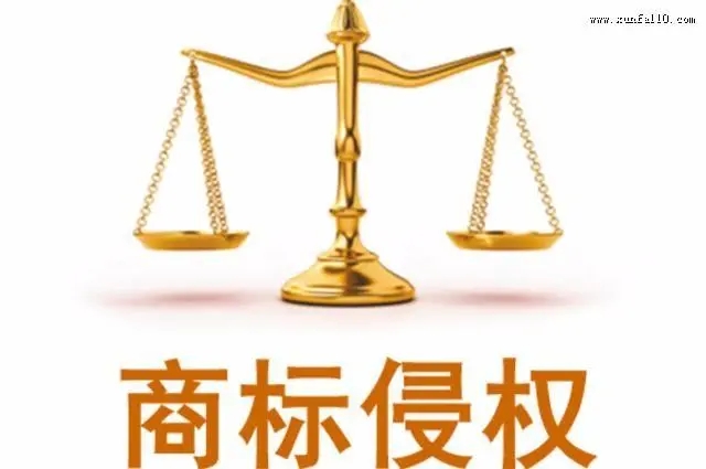 厦门知识产权机构