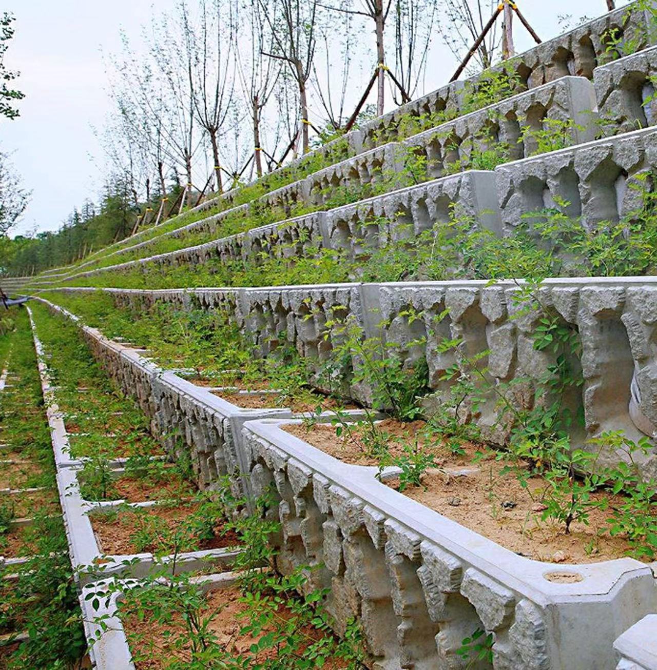 巢湖市箱式砌块护坡价钱