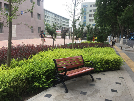 酒泉房地產(chǎn)綠化多少錢,城市道路綠化設(shè)計