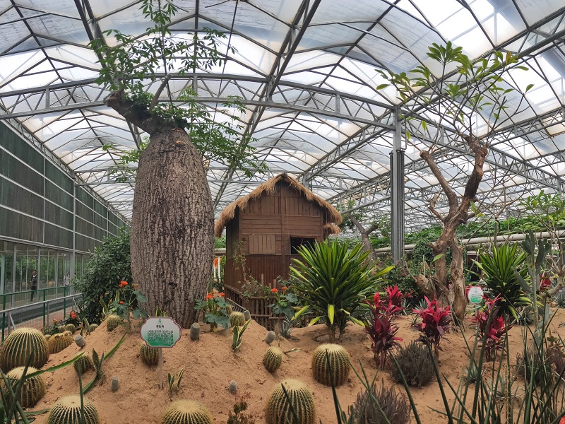 湖北生态温室餐厅建设