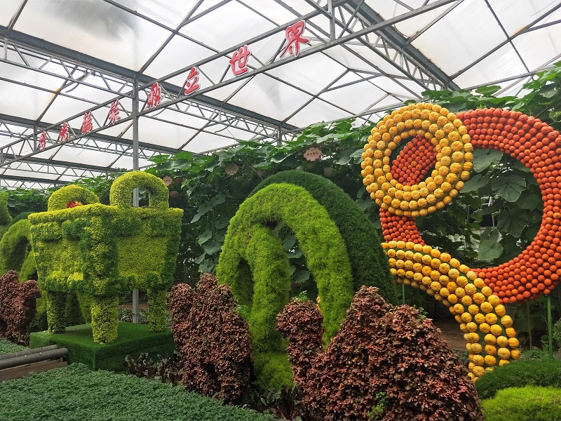 湖北生态温室餐厅施工,温室大棚建造