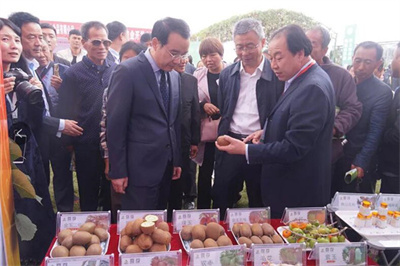 农业大数据解决方案-青海种植业大数据解决方案-青海樱桃大数据