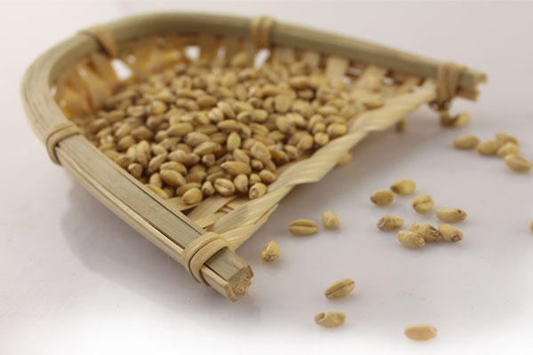 浙江Wheat Malt澳州白小麦芽联系方式