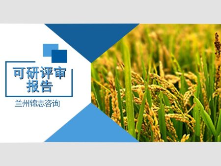 甘肃可研报告中的市场分析撰写技巧