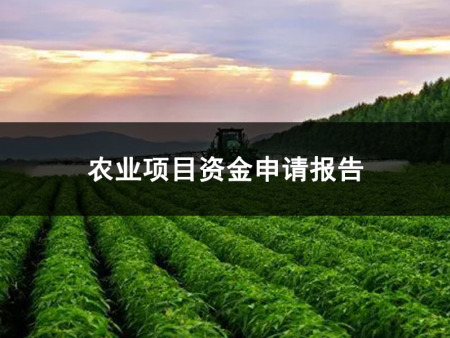 兰州资金申请报告编制公司