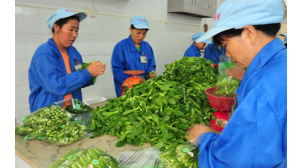 八里台大学副食品配送方式