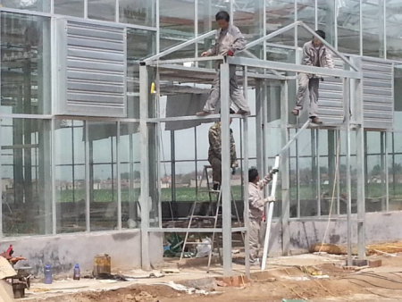 安徽新型玻璃温室施工,玻璃温室价格