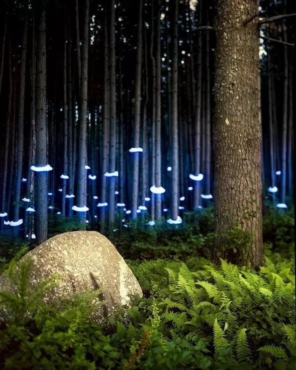 桂林广西园林景观灯设计加工