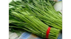 桐庐政府食堂食材配送哪家公司好