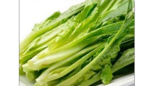 宁波公司食材配送招标流程