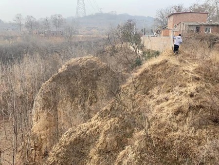 林业调查资质 新疆林业调查规划设计资质 林业调查资质公司哪家