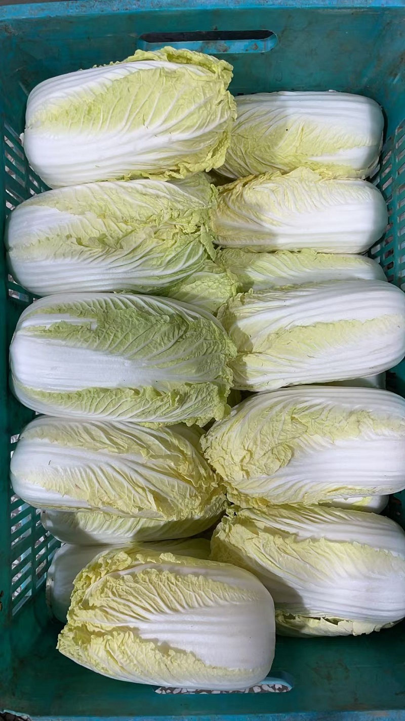 食用农产品批发