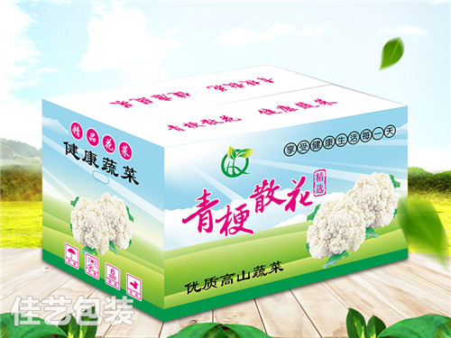 河北蔬菜专用箱哪家好