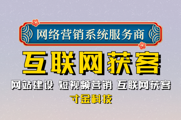 北京大数据互联网获客公司