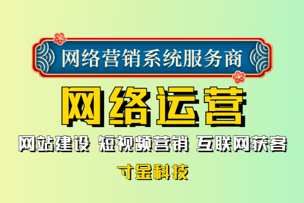 南京网络推广运营途径,电商运营网络方案