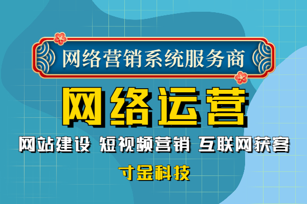 上海网络推广运营模式