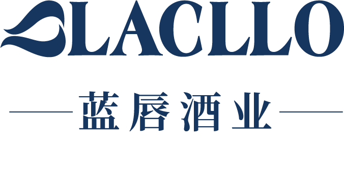 福建飞轮208招商代理,进口啤酒经销商