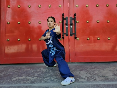 永年武术学校排名,武术院招生条件