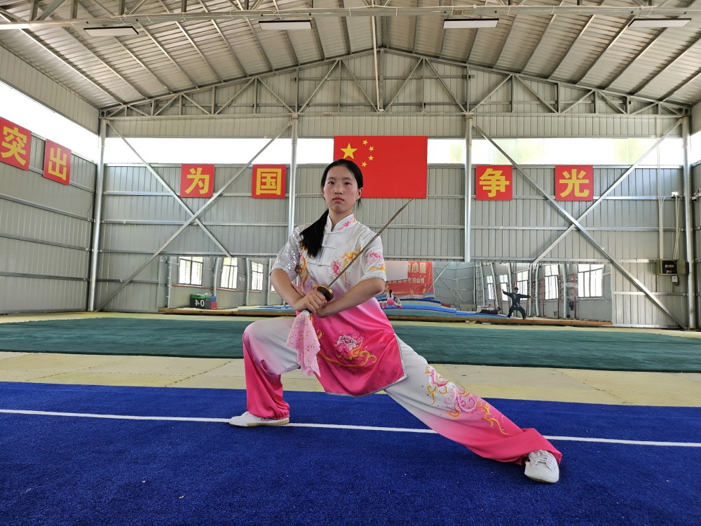 河北武术培训机构哪里好