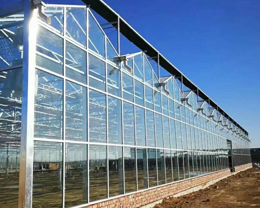 山东智能玻璃温室大棚承建