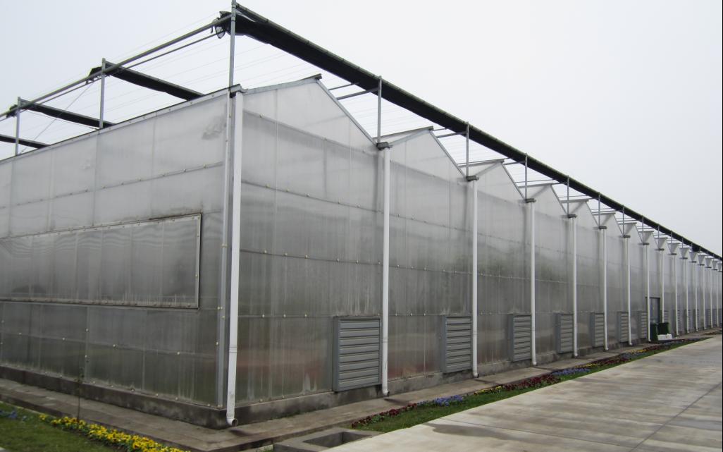 济南新型阳光板温室大棚建设