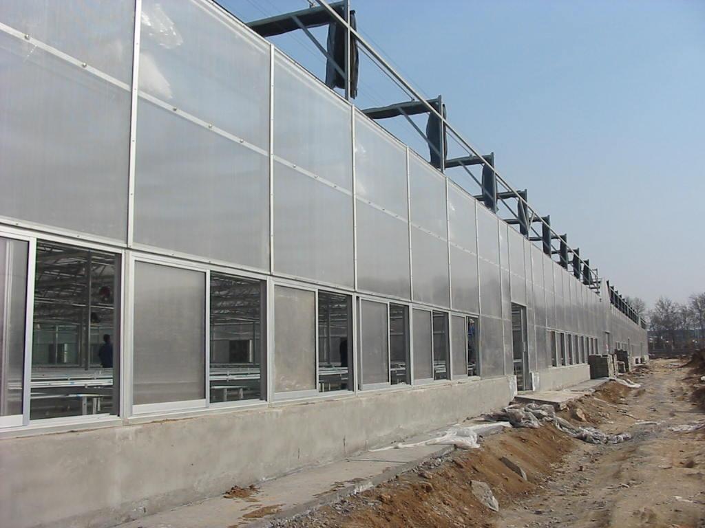 济南新型阳光板温室大棚建设
