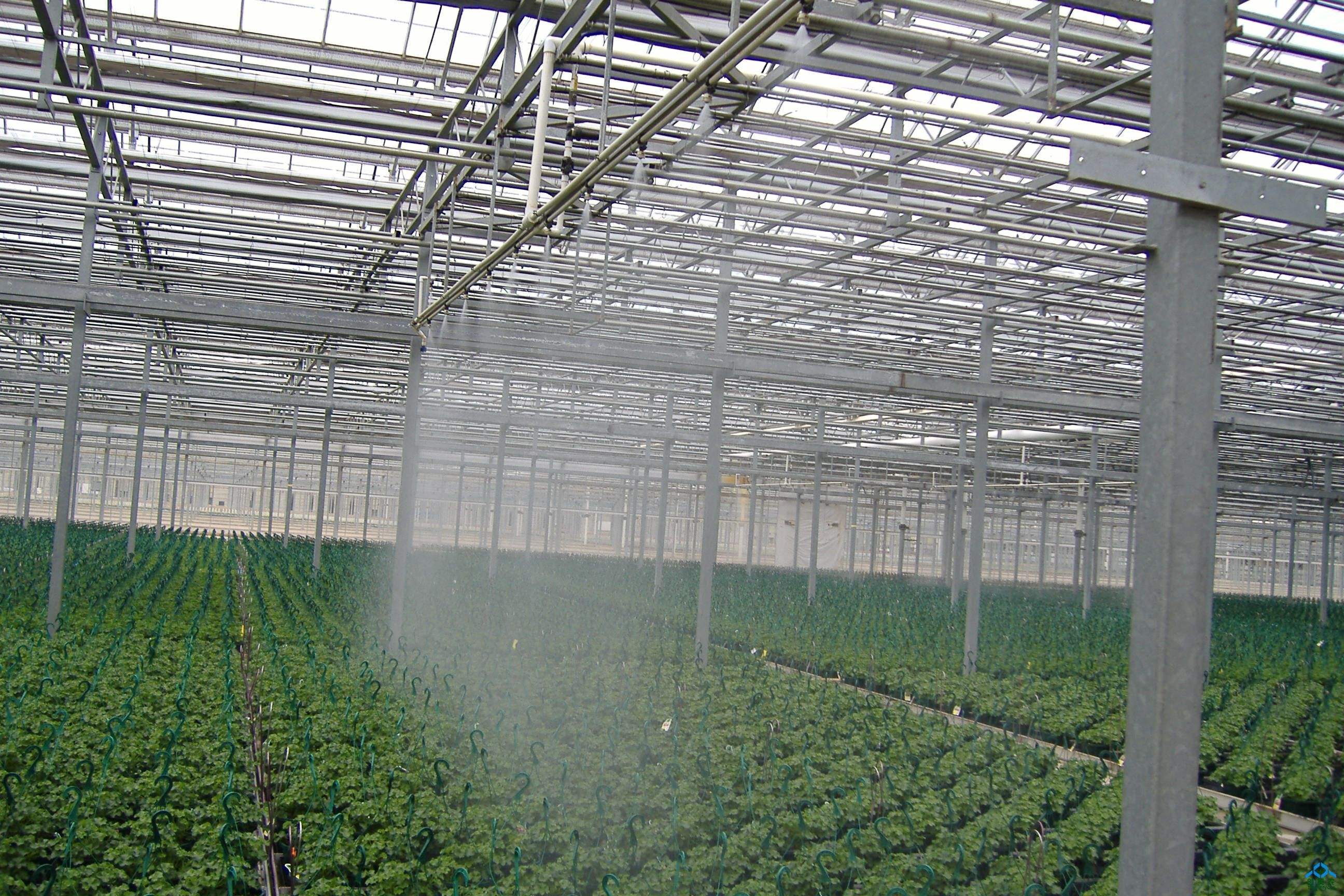 上海新型蔬菜温室建造商
