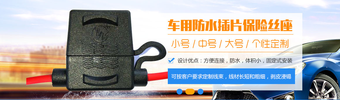 上海中型汽车保险丝座作用