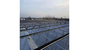 河南pc阳光板温室建造