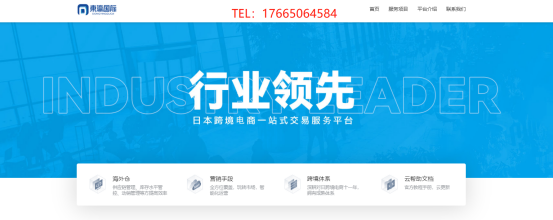 上海b2c电子商务市场