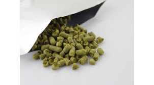 山东啤酒用原料卡斯卡特酒花 Cascade多少钱