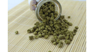 重庆捷克萨兹啤酒花品种全