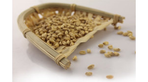 四川啤酒酿造用澳州白小麦芽Wheat Malt产品齐全