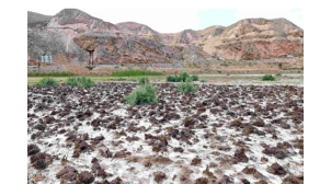 石家庄土壤盐碱化的治理方案服务