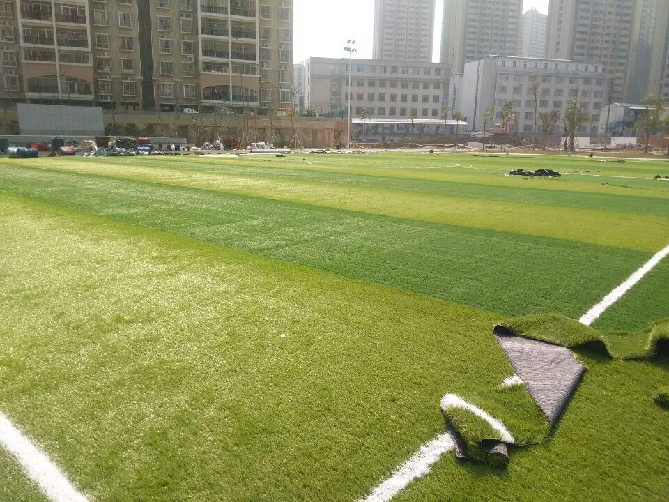 青海广场人造草坪施工